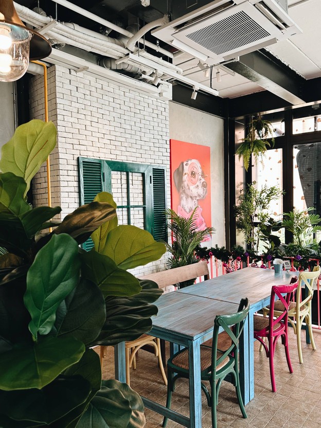 Dalmatian Siam Square Block i