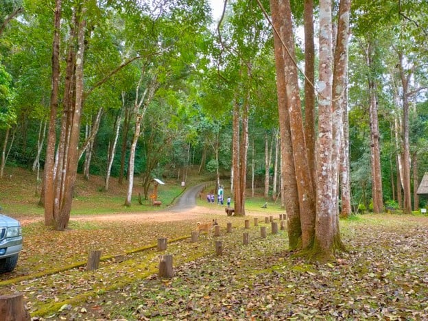 บรรยากาศ อุทยานแห่งชาติน้ำตกแม่สุรินทร์