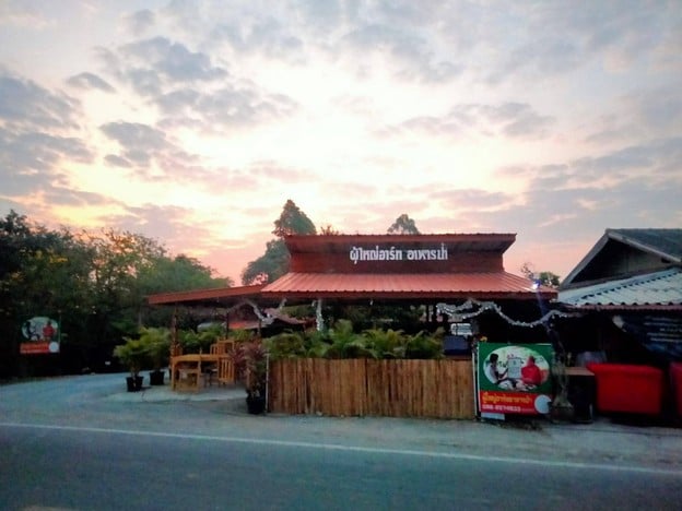 ผู้ใหญ่อาร์ทอาหารป่า