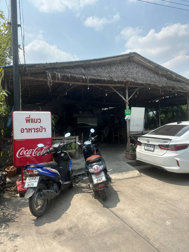 ร้านพี่แมวอาหารป่า ตลาดไท