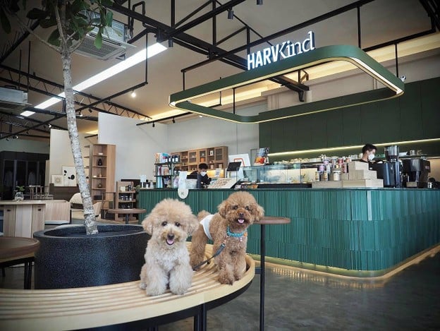 Harvkind Cafe บางขุนเทียน