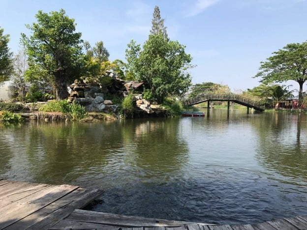 Melon Cafe Melon JJ Farm