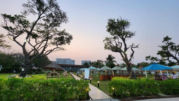 Miss T Cafe & Restaurant