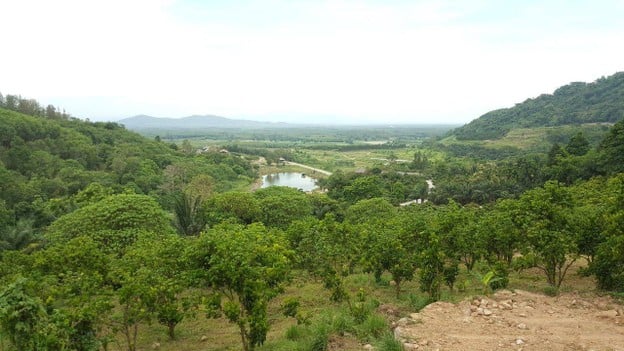 สวนละไม