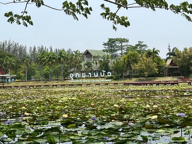 อุทยานบัวเฉลิมพระเกียรติ