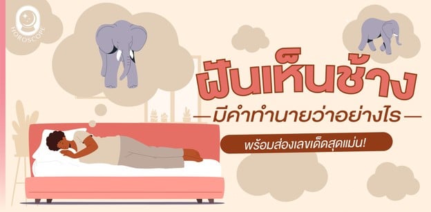 ฝันเห็นช้าง มีคำทำนายว่าอย่างไร พร้อมส่องเลขเด็ดสุดแม่น! 