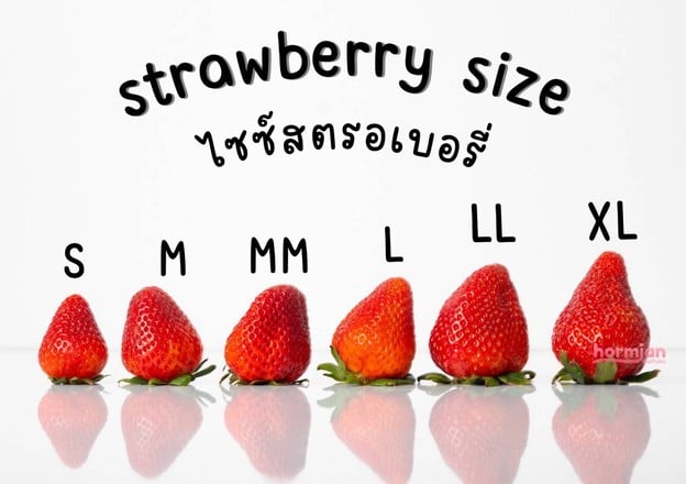 เมนูของร้าน หอมจันทร์ ไดฟูกุ ข้าง ญว.