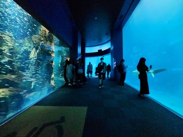 Osaka Aquarium Kaiyukan