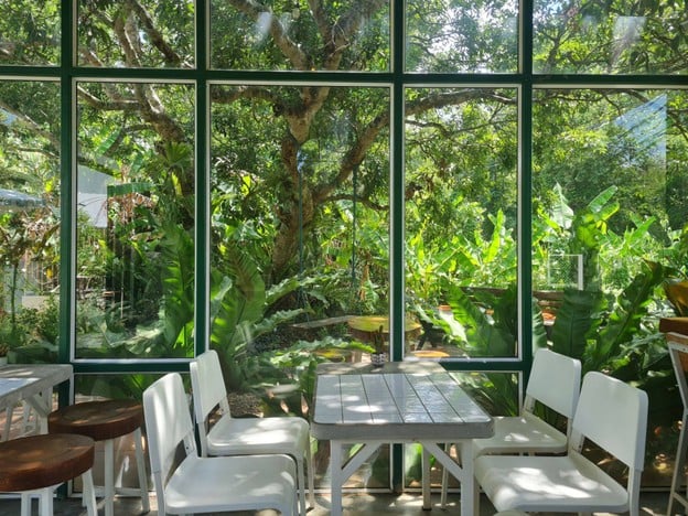 Between_cafe