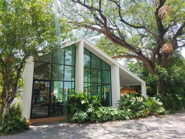 หน้าร้าน Auntie’s Garden