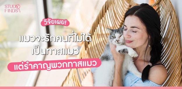 วิจัยเผย! แมวจะรักคนที่ไม่ได้เป็นทาสแมว แต่รำคาญพวกทาสแมว