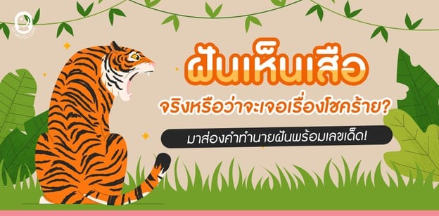 ฝันเห็นเสือ จริงไหมว่าจะเจอเรื่องโชคร้าย มาส่องคำทำนายฝันพร้อมเลขเด็ด