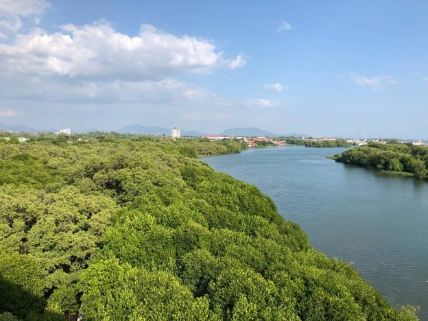 ศูนย์การเรียนรู้ป่าชายเลน พระเจดีย์กลางน้ำ