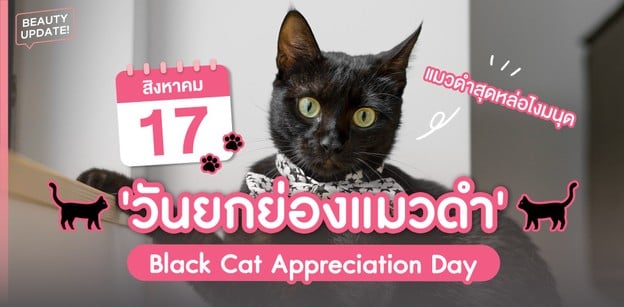 17 สิงหาคม วันยกย่องแมวดำ Black Cat Appreciation Day