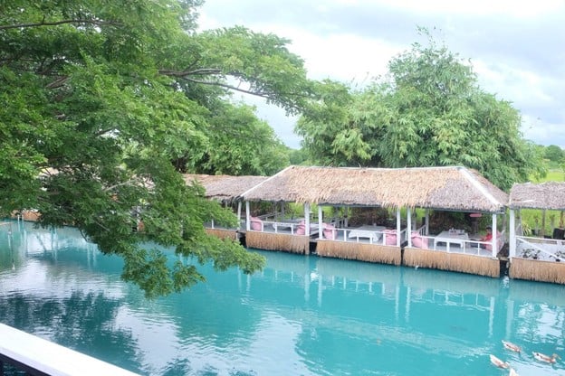 The Wild Swans Lake And Restaurant