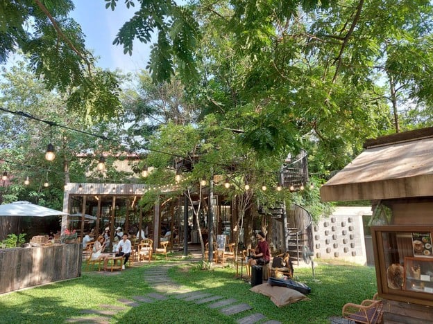 บรรยากาศ The Wood Land