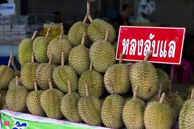 บรรยากาศ ตลาดหัวดง