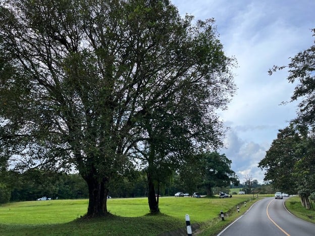 อุทยานแห่งชาติเขาใหญ่