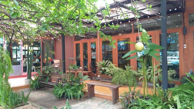 บูนา ออแกนิค คอฟฟี่ -