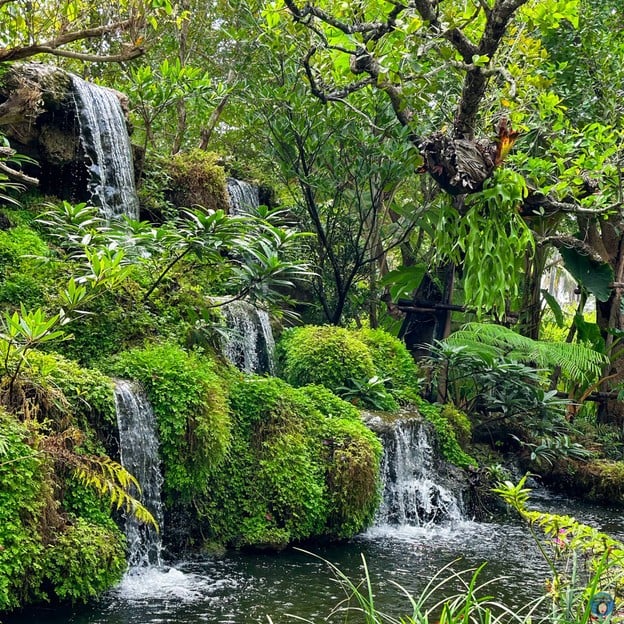 อ้อมกอด คาเฟ่