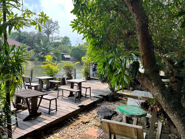 กาแฟกับต้นไม้