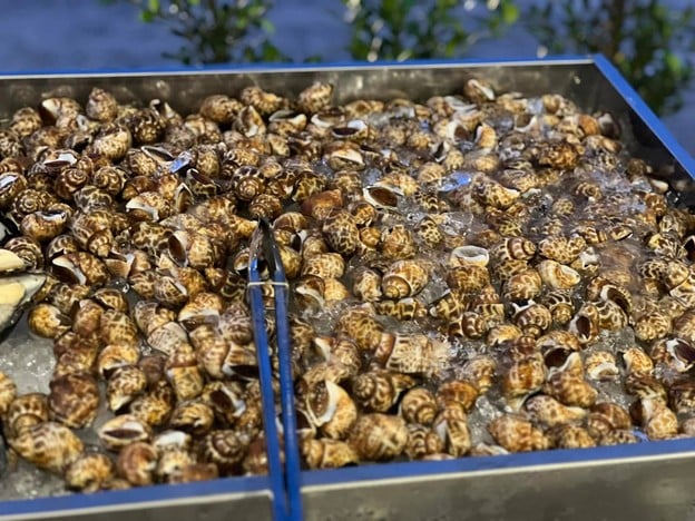 อ้วนปิ้งย่าง Chubby Hot Pot Bbq  (小胖燒烤)