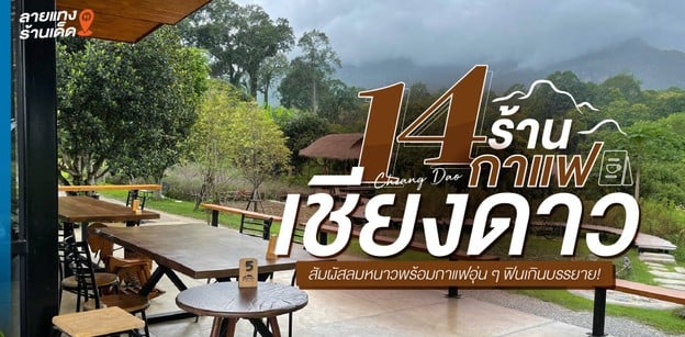 14 ร้านกาแฟเชียงดาว สัมผัสลมหนาวพร้อมกาแฟอุ่น ๆ ฟินเกินบรรยาย!