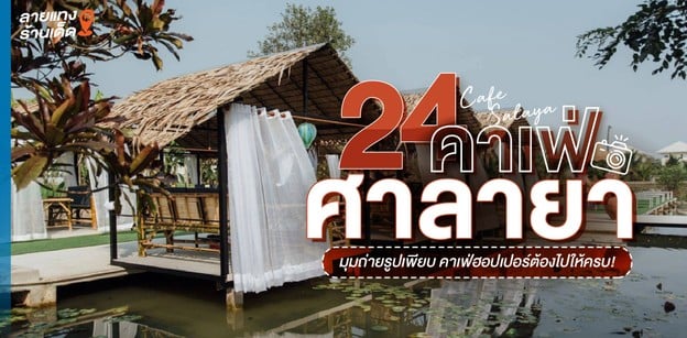 24 คาเฟ่ศาลายาสุดปัง มุมถ่ายรูปเพียบ คาเฟ่ฮอปเปอร์ต้องไปให้ครบ!