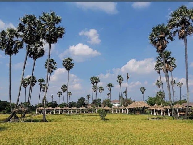 บรรยากาศ ณ ปทุม คาเฟ่ (รถไฟจิ๋วนั่งชมชิม) ณ ปทุม คาเฟ่