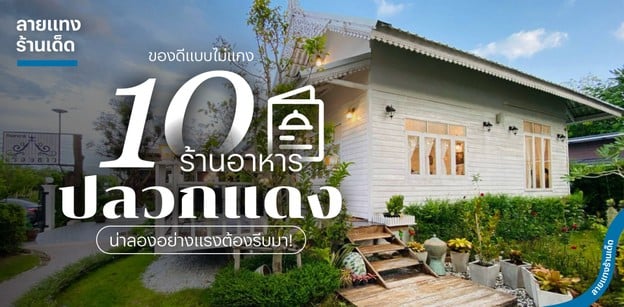 10 ร้านอาหารปลวกแดง ของดีแบบไม่แกง น่าลองอย่างแรงต้องรีบมา!