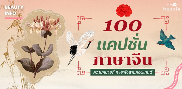 100 แคปชั่นภาษาจีน ความหมายดี ๆ เอาใจสายคอนเทนต์