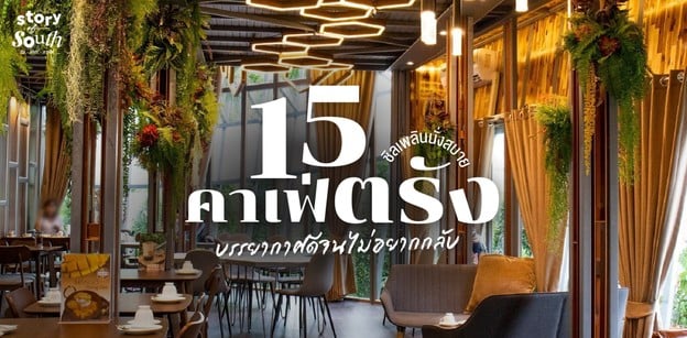 15 คาเฟ่ตรัง ชิลเพลินนั่งสบาย บรรยากาศดีจนไม่อยากกลับ
