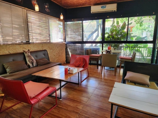 The Melon Cafe' Lopburi