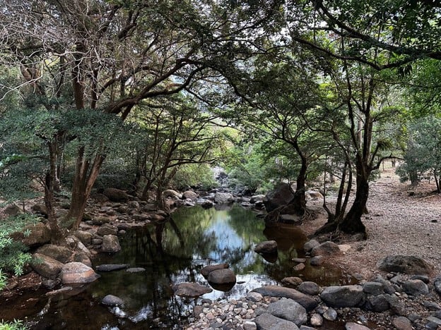 วังตะไคร้