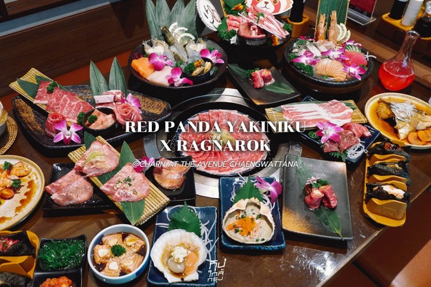 Red Panda Yakiniku x RAGNAROK