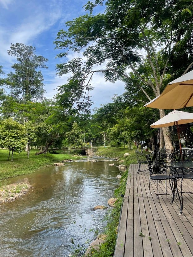 Canary Cafe & Restaurant