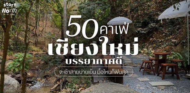 50 คาเฟ่เชียงใหม่บรรยากาศดี จะเช้าสายบ่ายเย็น มื้อไหนก็ฟินสุด