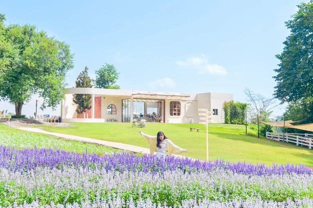 บรรยากาศ Floryday Khaoyai : Cafe & Flower