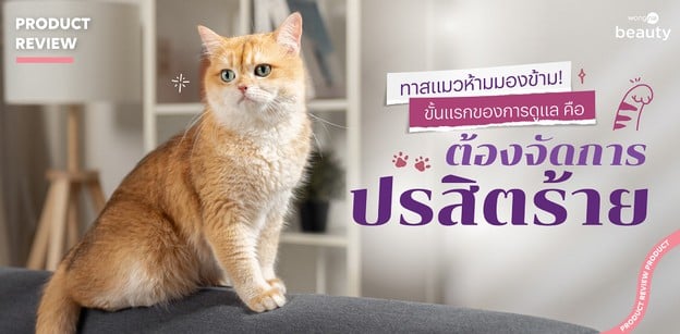 ทาสแมวต้องรู้! ดูแลน้องแข็งแรงขั้นแรก ปรสิตร้ายต้องจัดการ ห้ามมองข้าม