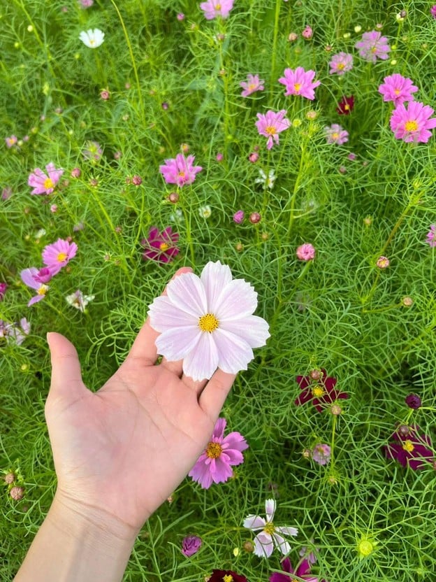 บรรยากาศ Silver Cafe Khaoyai