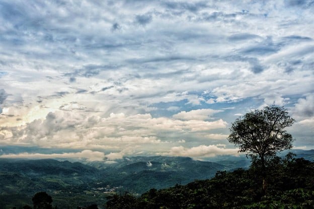 บรรยากาศ ดอยสวนยาหลวง