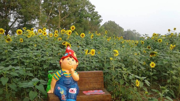 บรรยากาศ ไร่พราวตะวัน