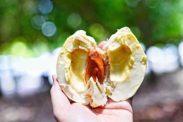 เมนูของร้าน สวนลุงประเสริฐ