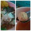 ก๋วยเตี๋ยวหมูตุ๋น ไส้ตุ๋น ข้าวซอยไก่