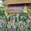 บ้านไร่กฤษวรรณ
