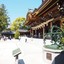Samukawa-jinja Shrine  寒川神社