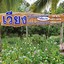 สวนลุงเวียง บ้านซำขี้เหล็ก