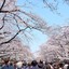 Ueno Park
