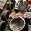 อุ้ม ก๋วยเตี๋ยวหมูตำลึง ตลาดน้ำตลิ่งชัน แพ 5