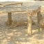 Safari Park สวนสัตว์เปิดซาฟารีปาร์ค กาญจนบุรี